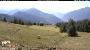 Archiviertes Webcam Bild: Lienz: Blick auf die Meckisalm bei Zettersfeld am 12.07.2026 um 10:48 Uhr