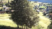 Archived webcam image showing Hotel 