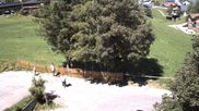 Archived webcam image showing Hotel 