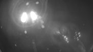 Archived webcam image showing Deggendorf Golf Course on 18 Jun 2026 at 00:40