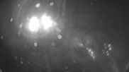 Archived webcam image showing Deggendorf Golf Course on 3 Aug 2026 at 00:23