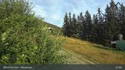 Archived webcam image showing Panoramabahn Mönchkirchen - Top Station on 25 Aug 2026 at 07:54