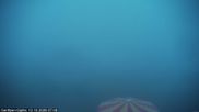 Archived webcam image showing Gerlitzen summit on 12 Oct 2026 at 07:55