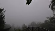 Archived webcam image showing Schlögener Donauschlinge on 12 Jun 2026 at 07:19