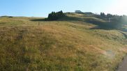 Archiviertes Webcam Bild: Seiser Alm Panorama am 12.07.2026 um 07:44 Uhr