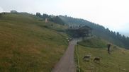 Archived webcam image showing Seiser Alm - panoramic view on 14 Jul 2026 at 08:10