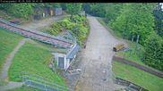 Archiviertes Webcam Bild: Willingen: Mühlenkopfschanze Schanzentisch am 05.05.2026 um 06:15 Uhr