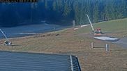 Archived webcam image showing Willingen - Biathlon Roller Ski on 21 Mar 2026 at 08:48