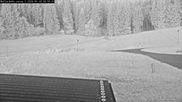 Archiviertes Webcam Bild: Willingen: Biathlon Rollerbahn am 28.05.2026 um 04:13 Uhr