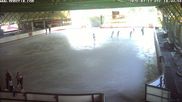 Archiviertes Webcam Bild: Eissporthalle Willingen am 12.07.2026 um 10:12 Uhr