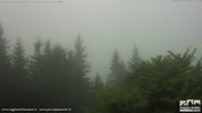 Archived webcam image showing Cerreto Laghi Ski Resort - Passo del Cerreto - Monte La Nuda on 12 May 2026 at 07:28