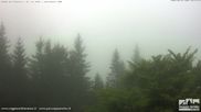 Archived webcam image showing Cerreto Laghi Ski Resort - Passo del Cerreto - Monte La Nuda on 12 May 2026 at 08:28