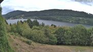 Archiviertes Webcam Bild: Blick auf den Titisee vom Westufer am 10.08.2026 um 14:05 Uhr