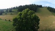 Archived webcam image showing Pays de Neuchâtel - La Robella on 14 Jul 2026 at 08:07
