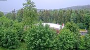 Archived webcam image showing Schierke: Schierker Feuerstein Arena on 20 Jun 2026 at 08:11