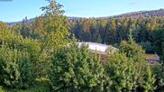 Archived webcam image showing Schierke: Schierker Feuerstein Arena on 14 Jul 2026 at 07:05