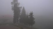 Archived webcam image showing Palenica - Top Station on 4 Jun 2026 at 06:22