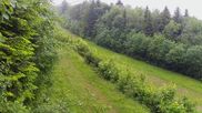 Archived webcam image showing Laskowa Ski - Slope No. 1 on 4 Jun 2026 at 08:07