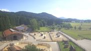 Archiviertes Webcam Bild: Gut Aiderbichl bei Henndorf am Wallersee am 12.07.2026 um 16:40 Uhr