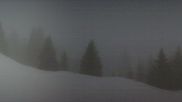 Archiviertes Webcam Bild: Brandnertal - Loischkopf Bergstation am 12.04.2026 um 06:48 Uhr