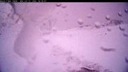 Archiviertes Webcam Bild: Thredbo: Basin Schlepplift und Abfahrt am 12.07.2026 um 22:30 Uhr