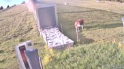 Archived webcam image showing Weinebene Ski Resort: Magic Carpet on 14 Jun 2026 at 06:02