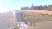 Archived webcam image showing Weinebene Ski Resort: Magic Carpet on 30 Jul 2026 at 07:14