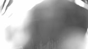 Archived webcam image showing Weinebene Ski Resort: Magic Carpet on 15 Aug 2026 at 00:39