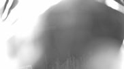 Archived webcam image showing Weinebene Ski Resort: Magic Carpet on 15 Aug 2026 at 02:39