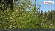 Archived webcam image showing Mehlmeisel - Klausen lifts on 3 May 2026 at 09:55