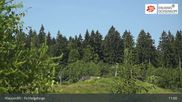 Archived webcam image showing Mehlmeisel - Klausen lifts on 28 Jun 2026 at 11:14