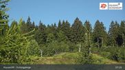 Archiviertes Webcam Bild: Mehlmeisel: Klausenlifte im Fichtelgebirge am 12.07.2026 um 07:20 Uhr