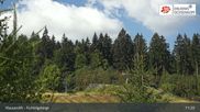 Archived webcam image showing Mehlmeisel - Klausen lifts on 11 Aug 2026 at 11:51
