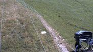 Archived webcam image showing Lifts Sinswang on 12 Jul 2026 at 16:11