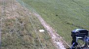 Archived webcam image showing Lifts Sinswang on 12 Jul 2026 at 18:11