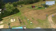 Archiviertes Webcam Bild: Zelezna Ruda - Skiareal Nad Nadrazim am 26.08.2026 um 13:09 Uhr