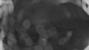 Archived webcam image showing Aeschi - Ski hut Aeschiallmend on 7 Jul 2026 at 04:21