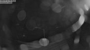 Archived webcam image showing Aeschi - Ski hut Aeschiallmend on 22 Jul 2026 at 00:38