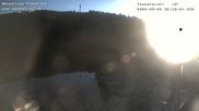 Archiviertes Webcam Bild: Mummelsee Panorama am 22.05.2026 um 06:38 Uhr