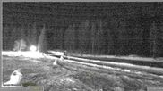 Archived webcam image showing Pokljuka: Biathlon Stadium Entrance on 26 Feb 2026 at 04:05