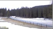Archiviertes Webcam Bild: Pokljuka: Biathlonstadion Eingang am 12.04.2026 um 06:49 Uhr