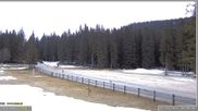 Archiviertes Webcam Bild: Pokljuka: Biathlonstadion Eingang am 12.04.2026 um 07:49 Uhr