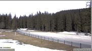Archiviertes Webcam Bild: Pokljuka: Biathlonstadion Eingang am 12.04.2026 um 16:49 Uhr