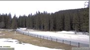 Archiviertes Webcam Bild: Pokljuka: Biathlonstadion Eingang am 12.04.2026 um 18:49 Uhr