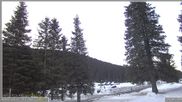 Archived webcam image showing Pokljuka - Biathlon Center Weather Station on 26 Feb 2026 at 07:42