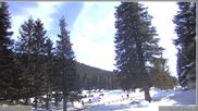 Archived webcam image showing Pokljuka - Biathlon Center Weather Station on 26 Feb 2026 at 14:42