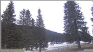 Archiviertes Webcam Bild: Pokljuka: Wetterstation am Biathlonstadion am 12.04.2026 um 06:41 Uhr