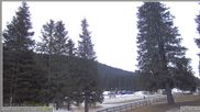 Archiviertes Webcam Bild: Pokljuka: Wetterstation am Biathlonstadion am 12.04.2026 um 07:41 Uhr