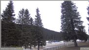 Archiviertes Webcam Bild: Pokljuka: Wetterstation am Biathlonstadion am 12.04.2026 um 18:41 Uhr