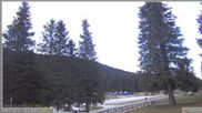 Archiviertes Webcam Bild: Pokljuka: Wetterstation am Biathlonstadion am 27.04.2026 um 07:23 Uhr